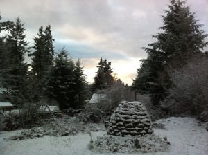 Snowy Back Yard