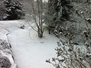 Snowy Front Yard