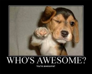 You're Awesome!